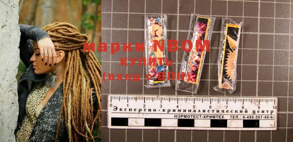 гашик Туринск