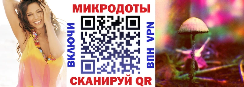 Купить закладки  Сольвычегодск  Галлюциногенные грибы Cubensis 