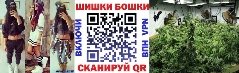 Шишки марихуана марихуана  Купить закладки  Сольвычегодск 